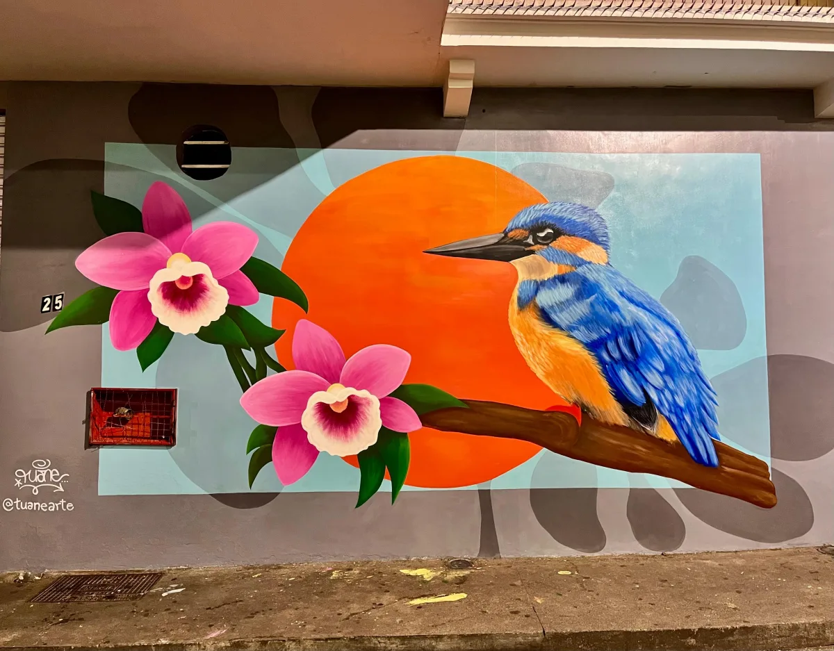 Mural com martim-pescador e laélia-purpúrata no Centro de Florianópolis durante a Maratona Cultural 2026